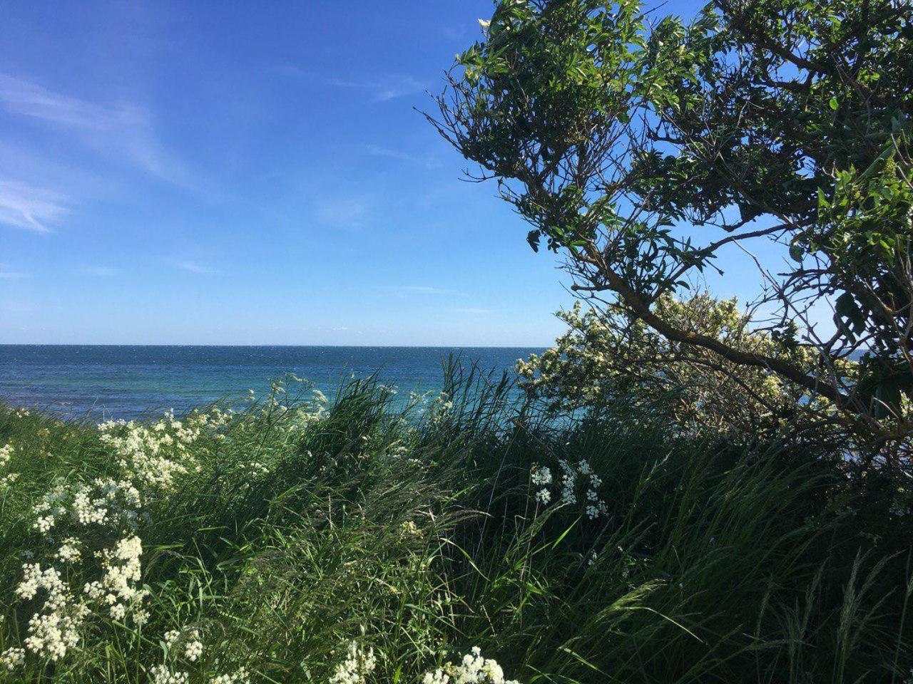 Traumhaftes Strand-Apartment Mit Meerblick Staberdorf Eksteriør bilde